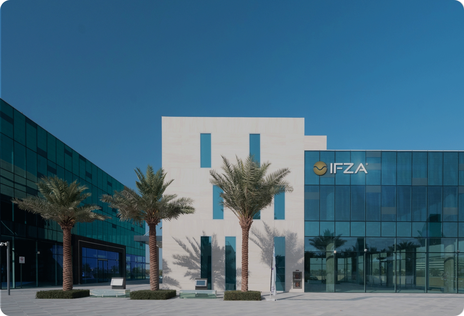 DMCC Trade License: Tips For Successful Business